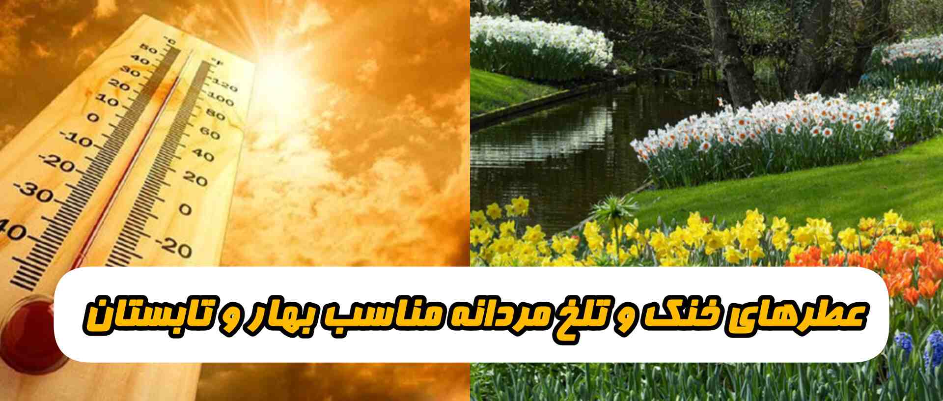 بهترین عطرهای مردانه خنک و تلخ از برندهای لوکس اماراتی