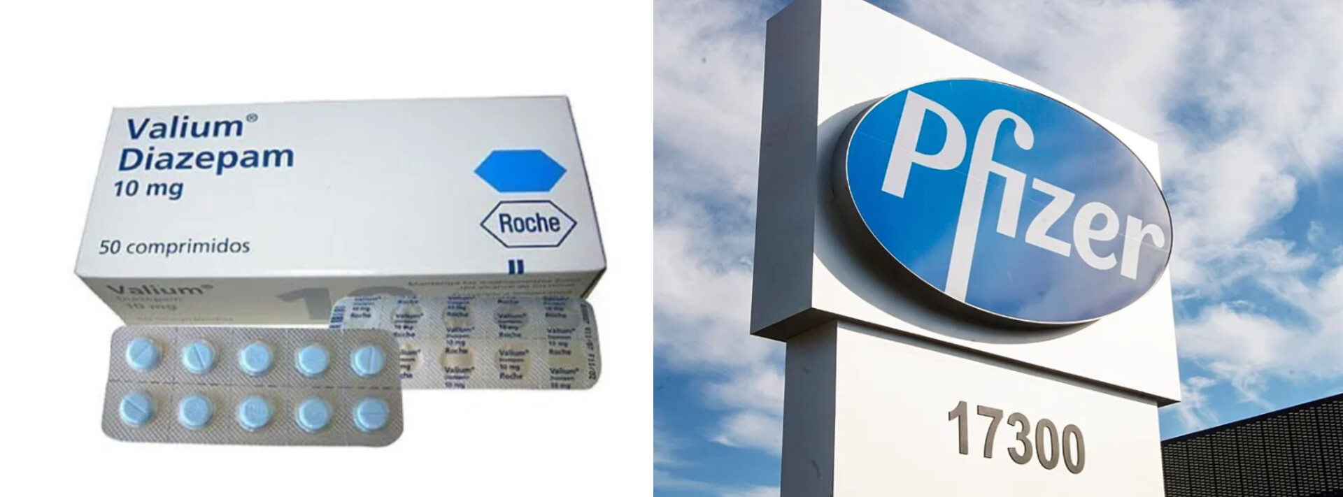 کشف کالون در شرکت داروسازی فایرز