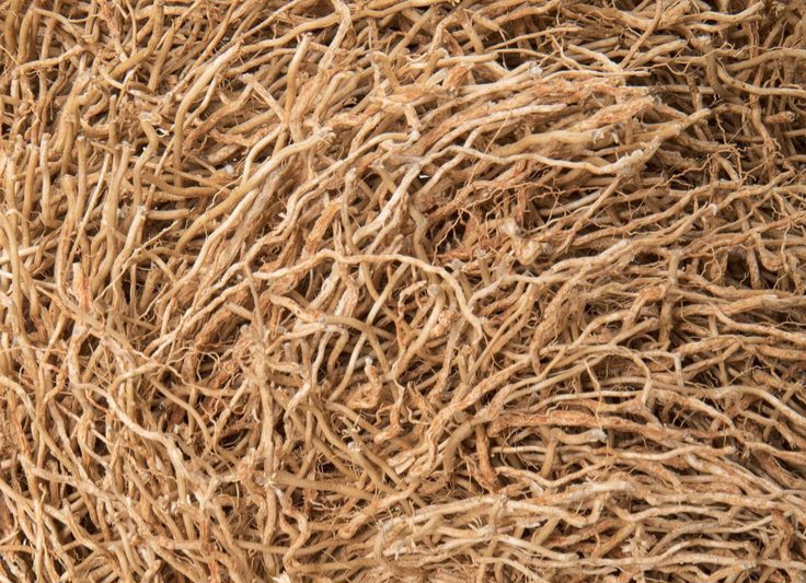 وتیور vetiverدر عطرسازی