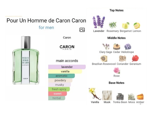 عطر کارون پور هوم،عطر شاه