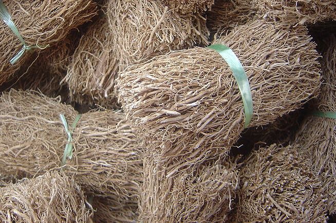 ریشه وتیور(خس خس)