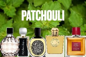 بهترین عطرهای پچولی Patchouli