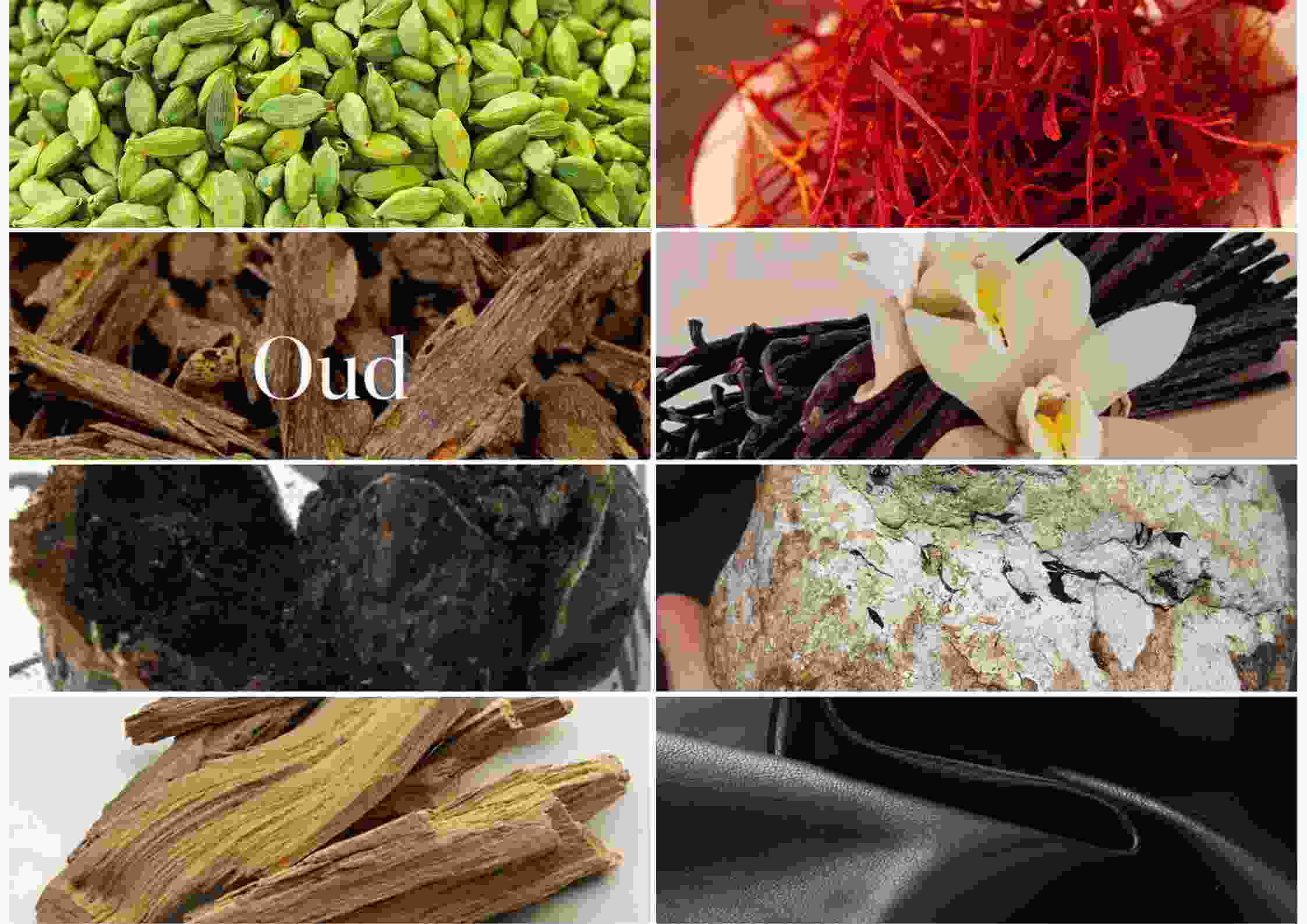 گران‌ترین مواد عطرسازی جهان؛ از دل اقیانوس تا ریشه‌ی زمین