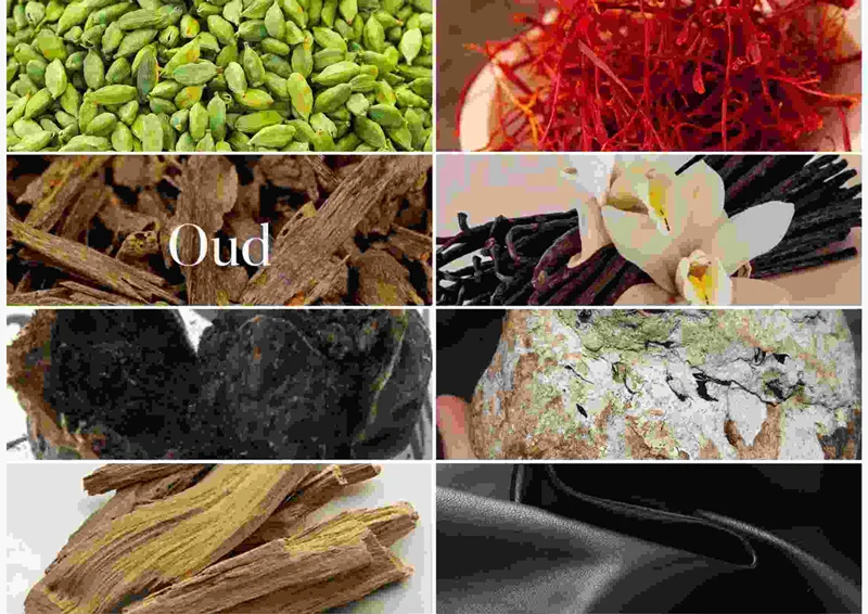 💎 گرانترین مواد عطرسازی جهان؛ از دل اقیانوس تا ریشهی زمین