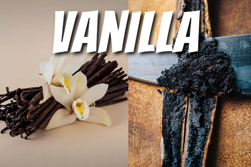 وانیلvanilla در عطرسازی