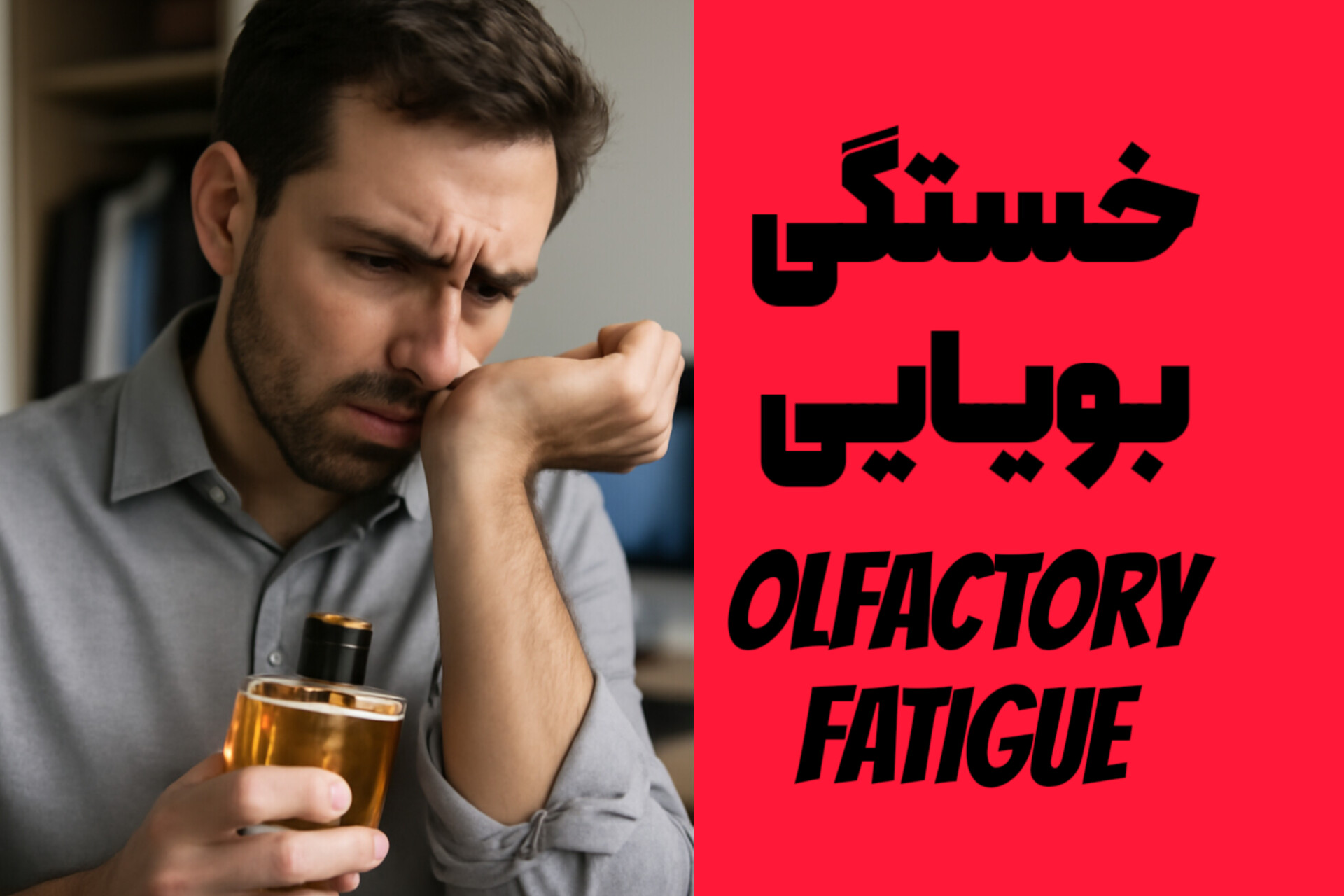 Olfactory Fatigueخستگی بویایی چیست؟