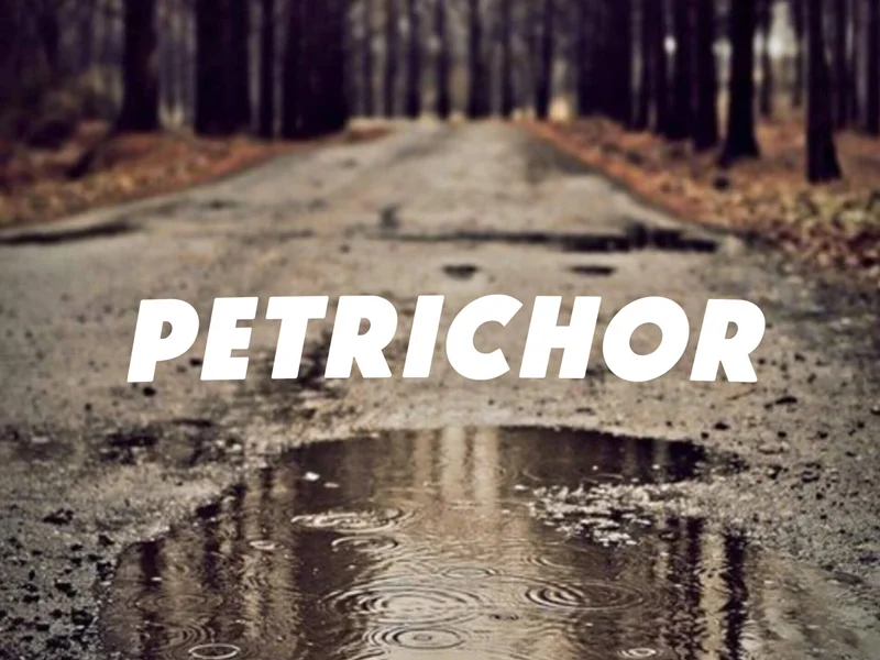 پتریکور (Petrichor)؛ بوی باران یا خاطرهی خاک؟