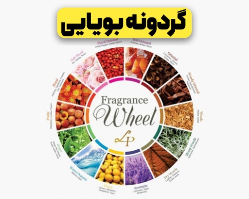 گردونه بویایی چیه؟کاربردش چیه؟