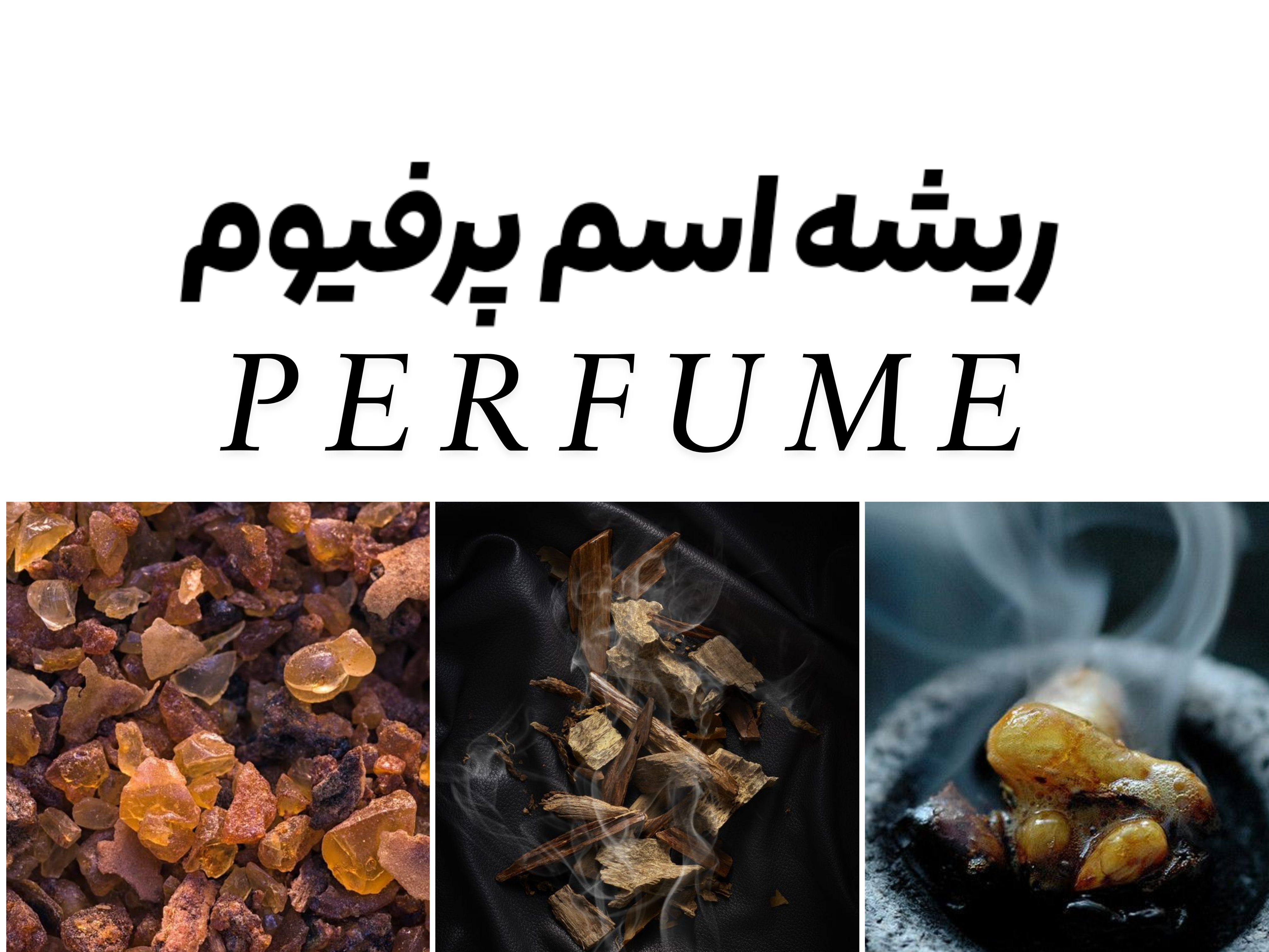 داستان واژه پرفیومPERFUME چیه؟