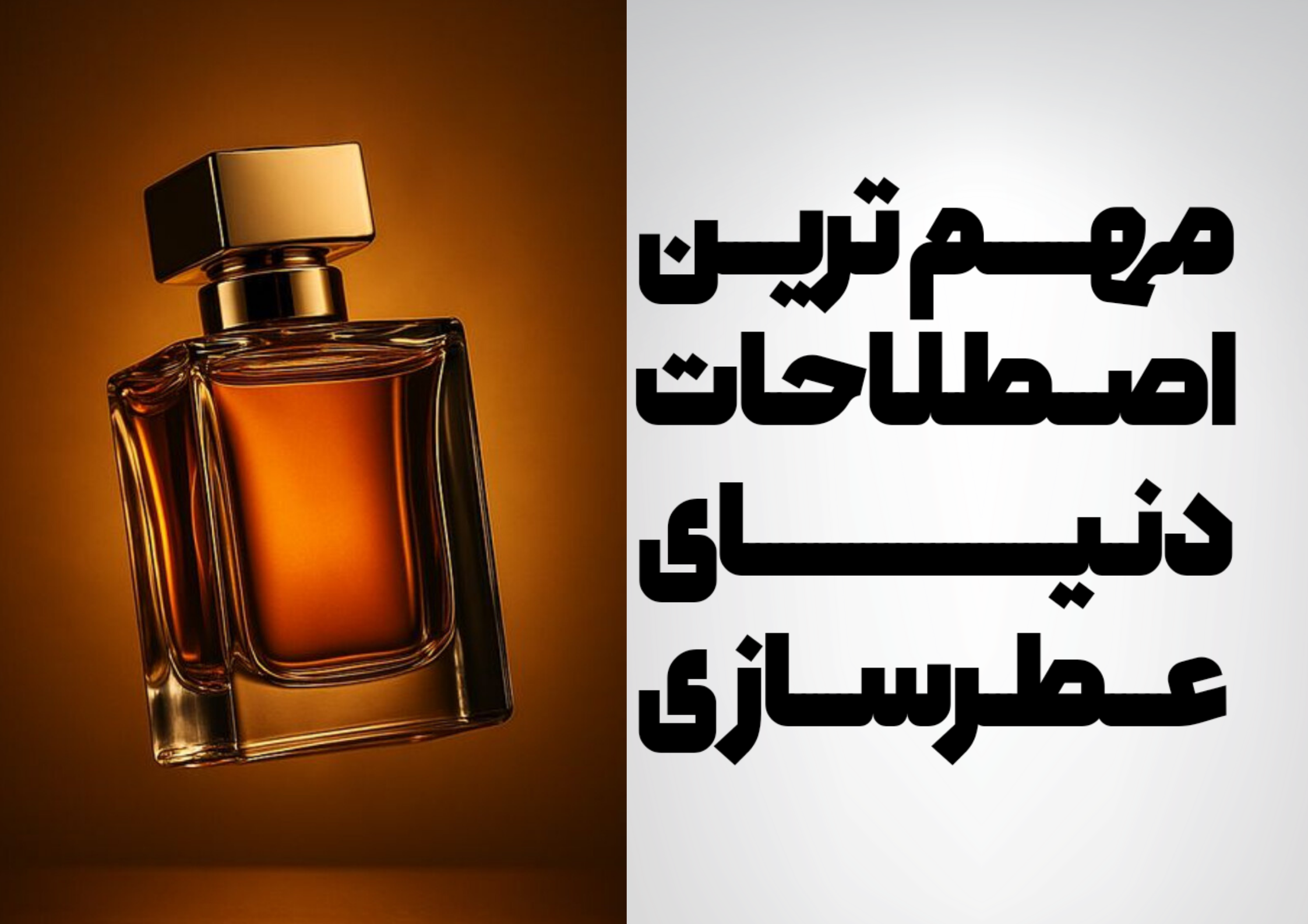 اصطلاحات عطری که باید بلد باشی