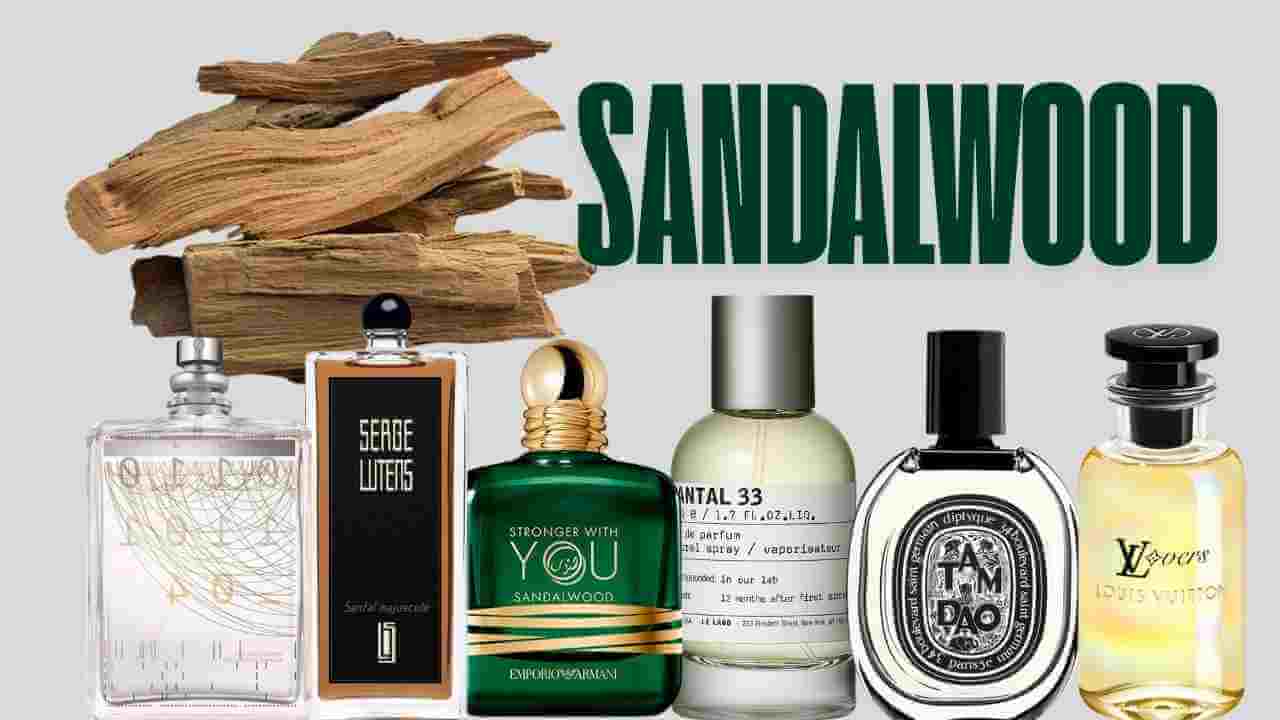 بهترین عطرها با رایحه چوب صندلsandalwood