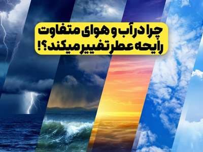 چرا رایحه عطر در آب و هوای متفاوت تغییر میکند؟