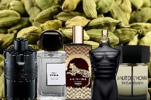 بهترین عطرها با رایحه هل Cardamom