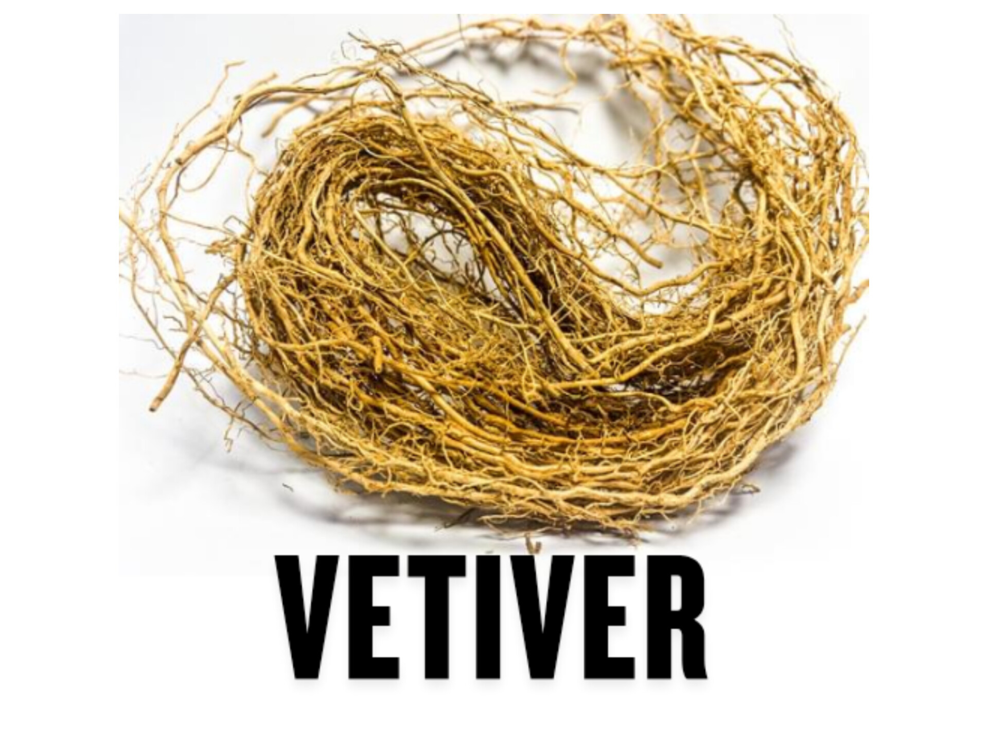 Vetiverنمادی کلاسیک از اصالت مردانه