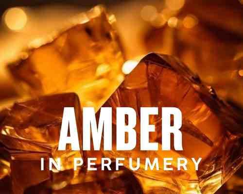 آمبرAmber در عطرسازی چیه؟