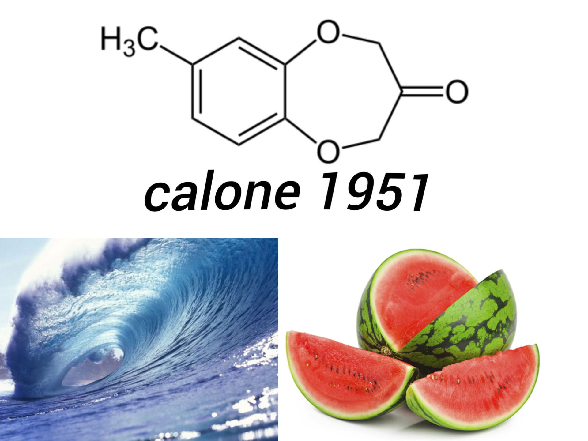 کالون (Calone) بوی دریا را وارد دنیای عطرسازی کرد